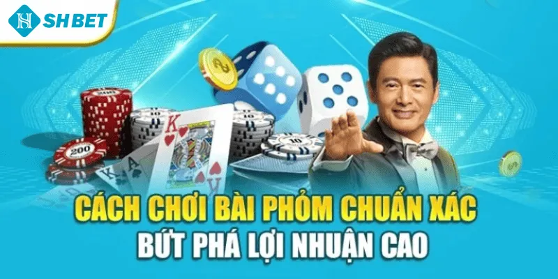 Cách Chơi Bài Phỏm Chuẩn Xác – Bứt Phá Lợi Nhuận Cao
